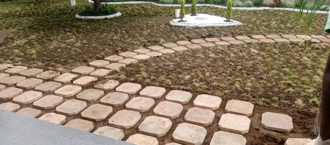 A garden with a paved pathway made of square paving stones and small plants and trees in the background.