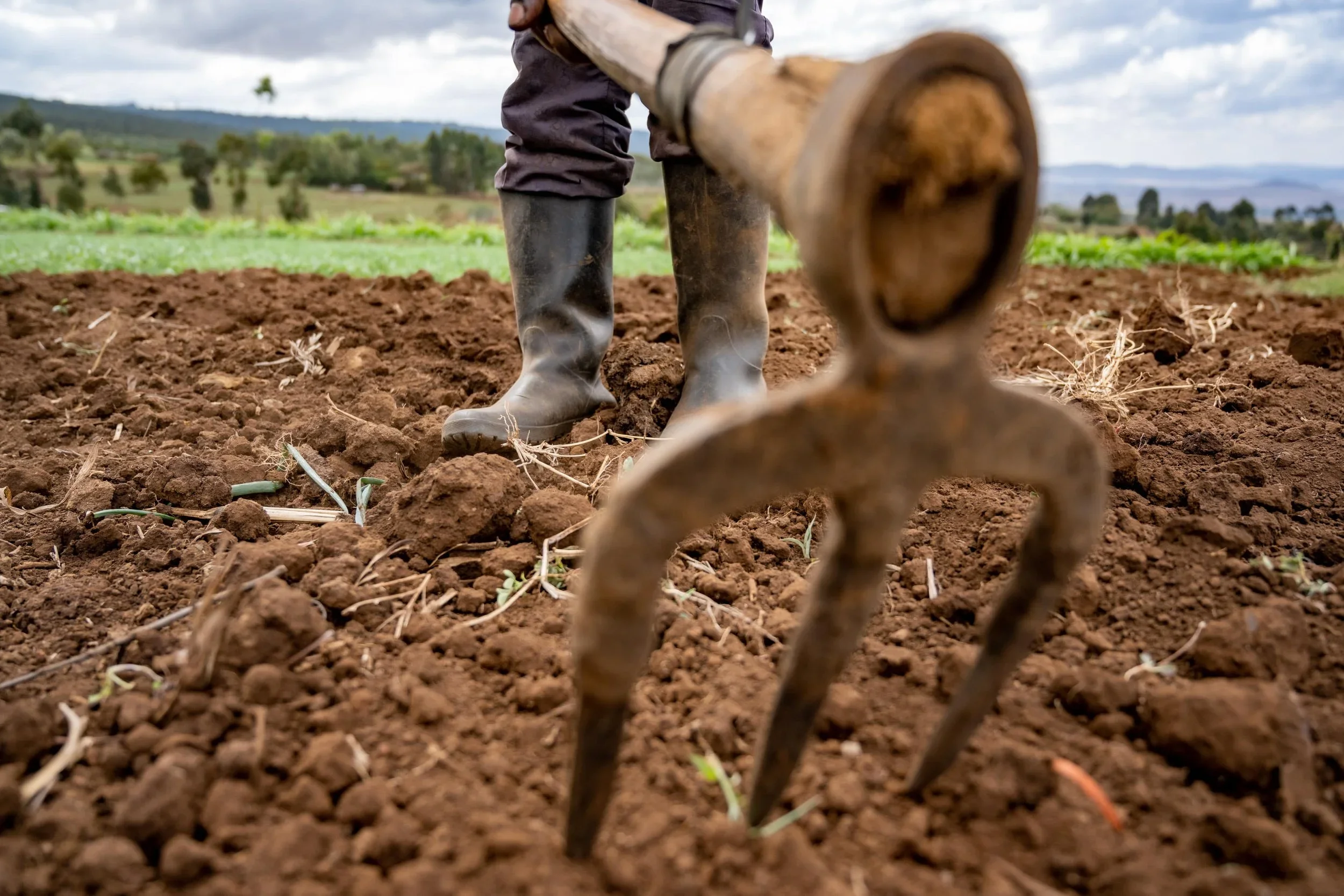 8 Natural Ways to Restore and Enrich Your Soil</span>