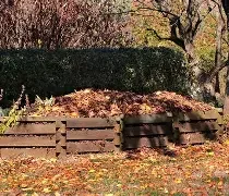 Manure Matters: A Designer’s Guide to Soil-Enriching Gold