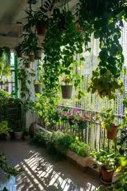 Balcony Gardening: A Practical Guide for Small-Space Growers