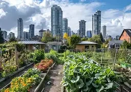 🌱 How to Start an Urban Farm in Small Spaces: A Complete Beginner’s Guide