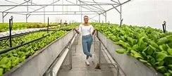      

 
    Urban Farming Success Stories: Case Studies from Around the World   Urban farming is no longer a fringe idea reserved for environmental enthusiasts. Across the globe, individuals, communities, and businesses are transforming rooftops, va