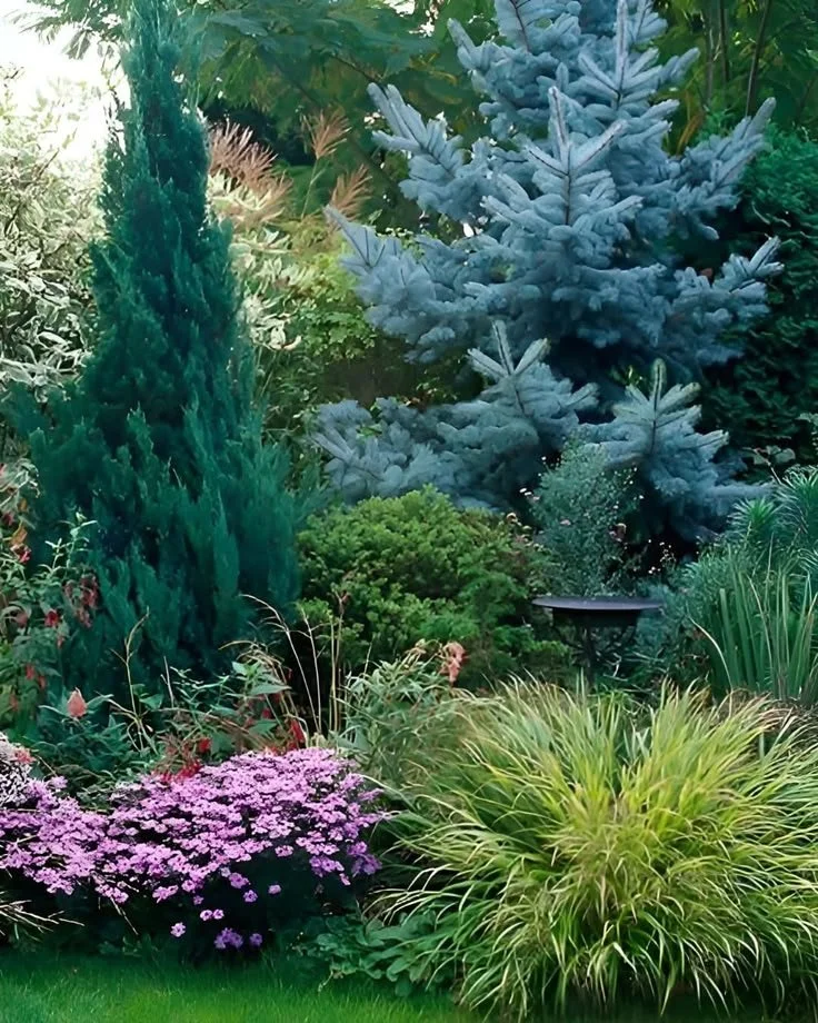 LAYERING PLANTS FOR DEPTH