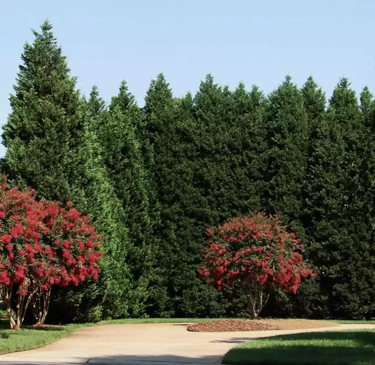 WIND-RESISTANT GARDEN LAYOUTS