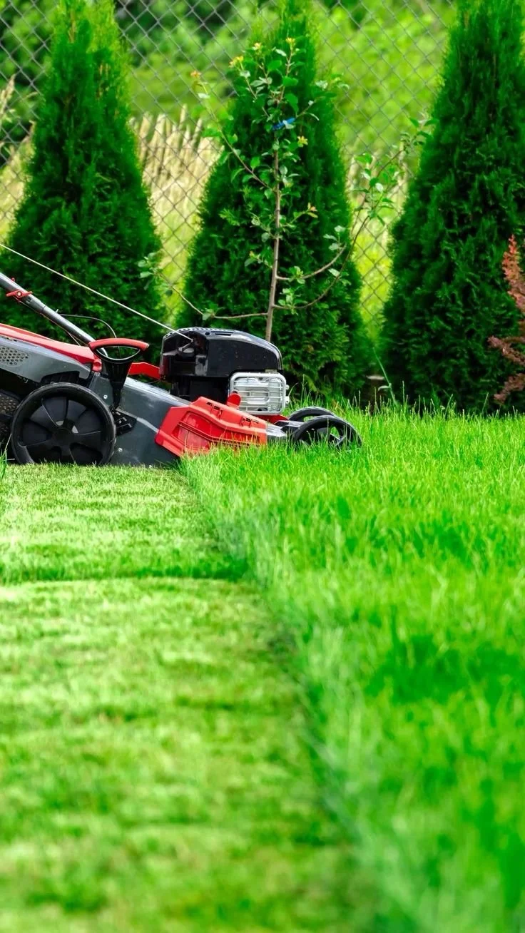 Lawn mower on freshly cut grass in a garden with green trees and a chain-link fence in the background.