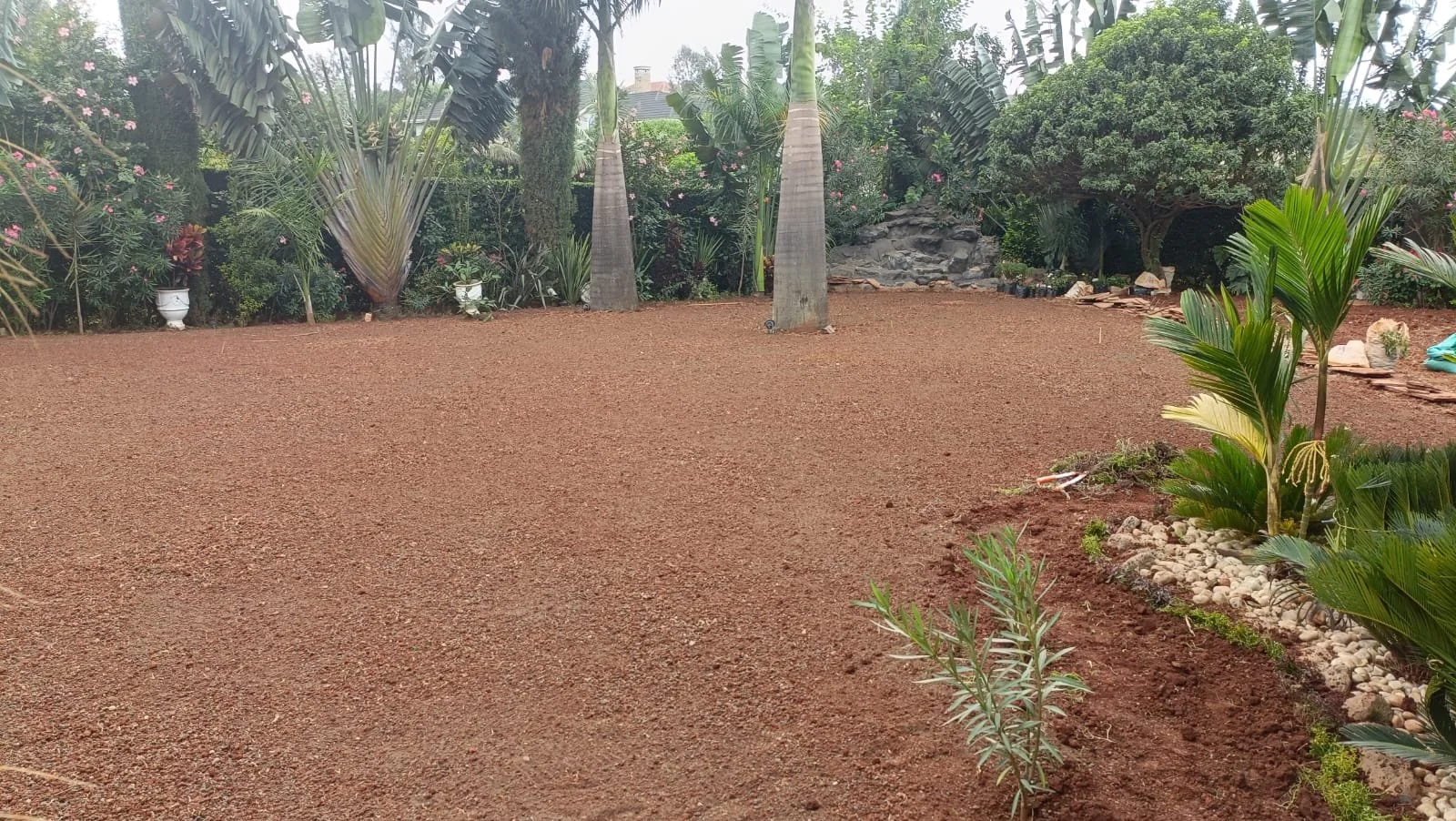 A backyard garden with freshly tilled soil, surrounded by various tropical plants, trees, and shrubs.