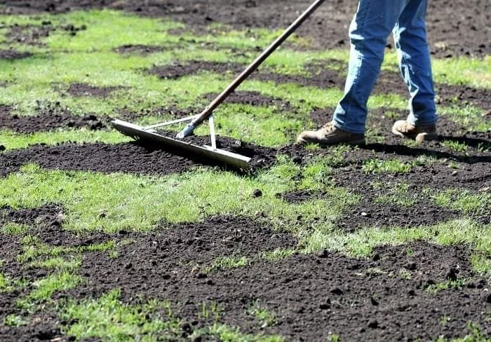 Person using a rake to level soil and plant new grass in a garden bed.