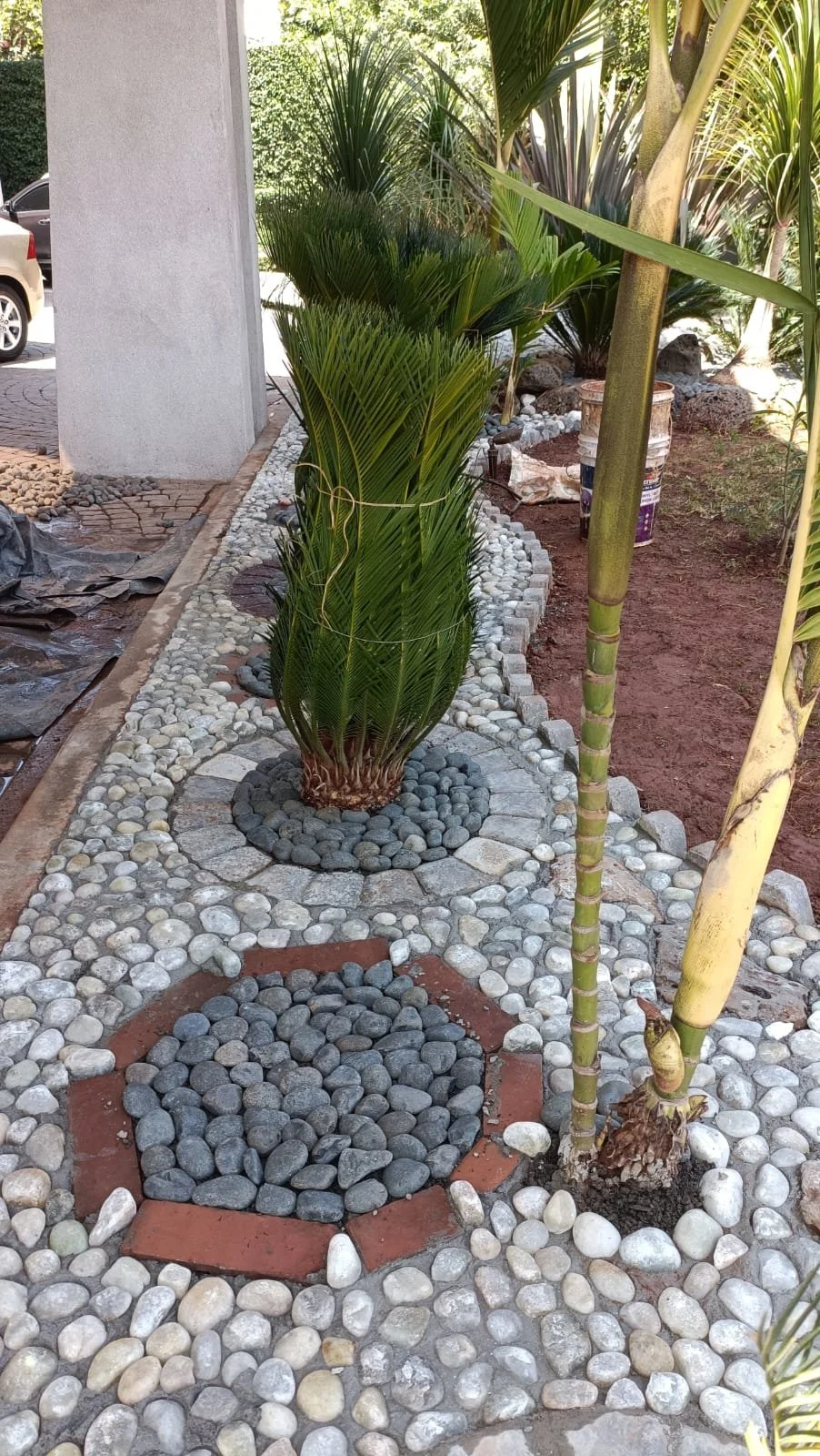 A landscaped garden with palm trees, decorative stones, and a concrete pathway.