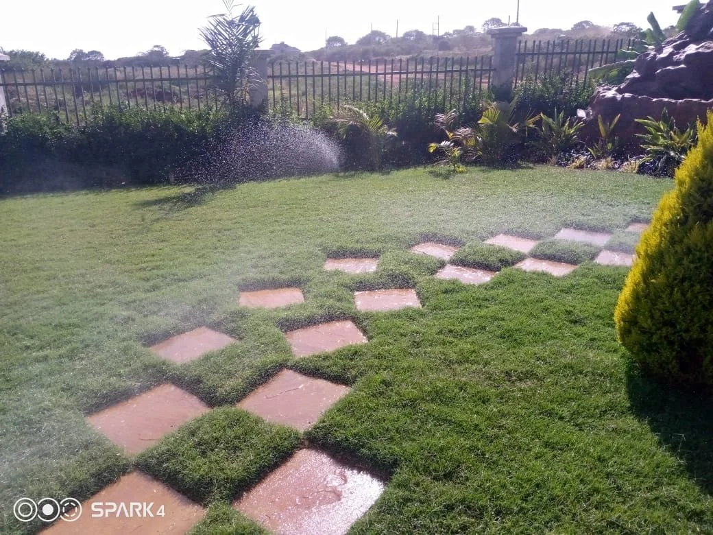 A grassy backyard with a stone pathway, bushes, and a sprinkler spraying water.