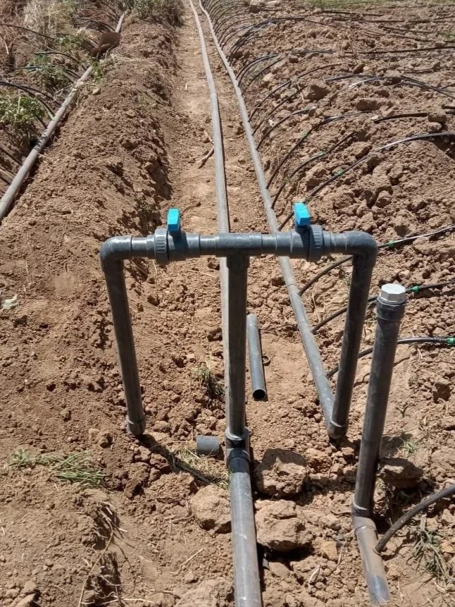 A close-up of a sprinkler system setup with connected pipes and tubing in dirt, with additional pipes and wiring in the background.