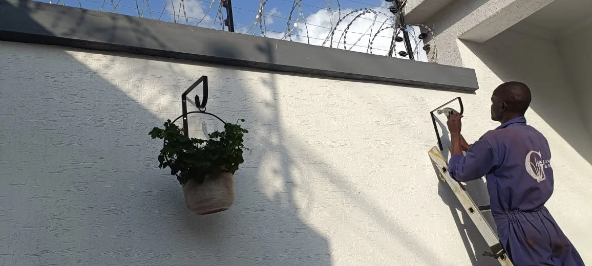 A man in a purple jumpsuit standing on a ladder, painting a wall outdoors; there is a hanging potted plant on the wall and barbed wire on top of the wall.
