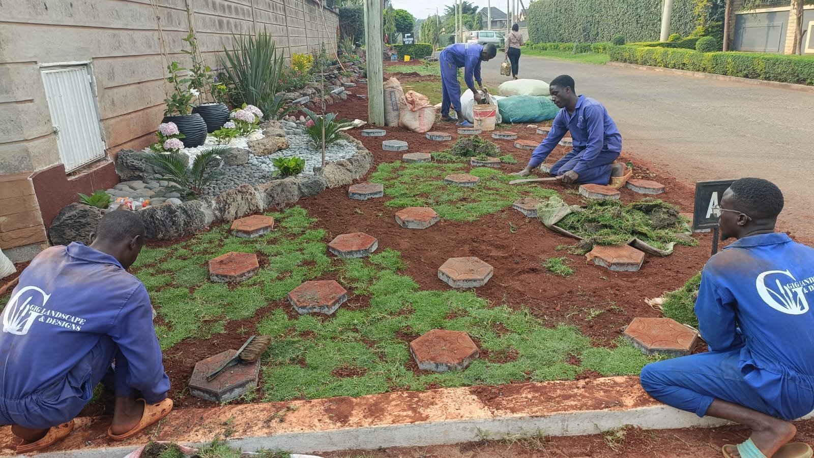 A group of workers are landscaping a garden by planting grass, laying bricks, and arranging flowers along the edge of a house.