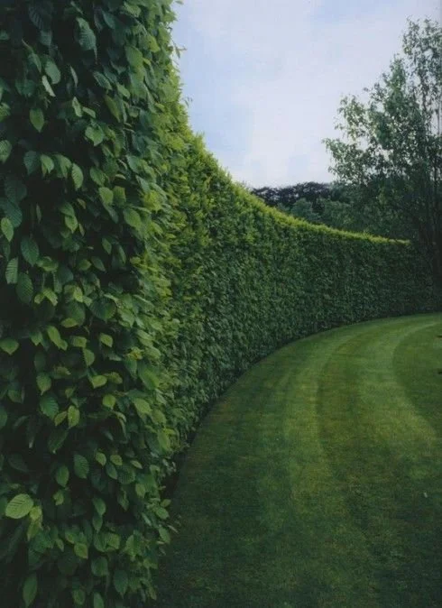 A neatly trimmed green hedge curves along a well-maintained grassy lawn, with trees in the background and a partly cloudy sky.