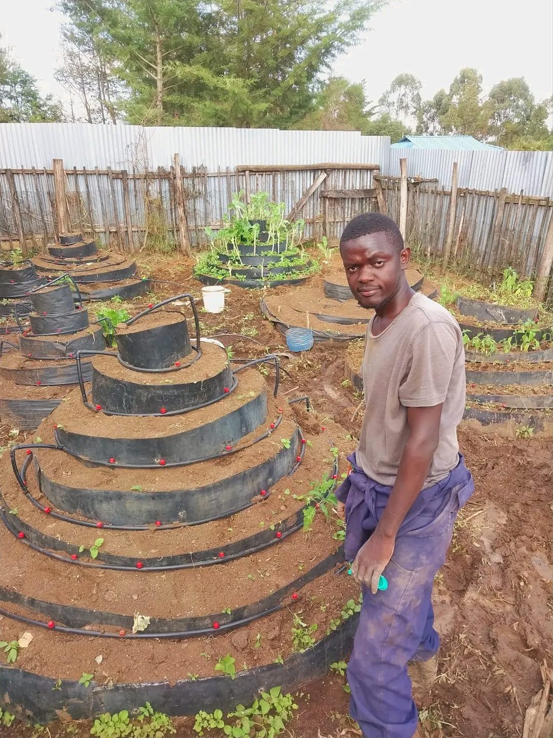 A young man standing in a garden with raised circular planting beds filled with soil and small plants, surrounded by a wooden fence and trees in the background.