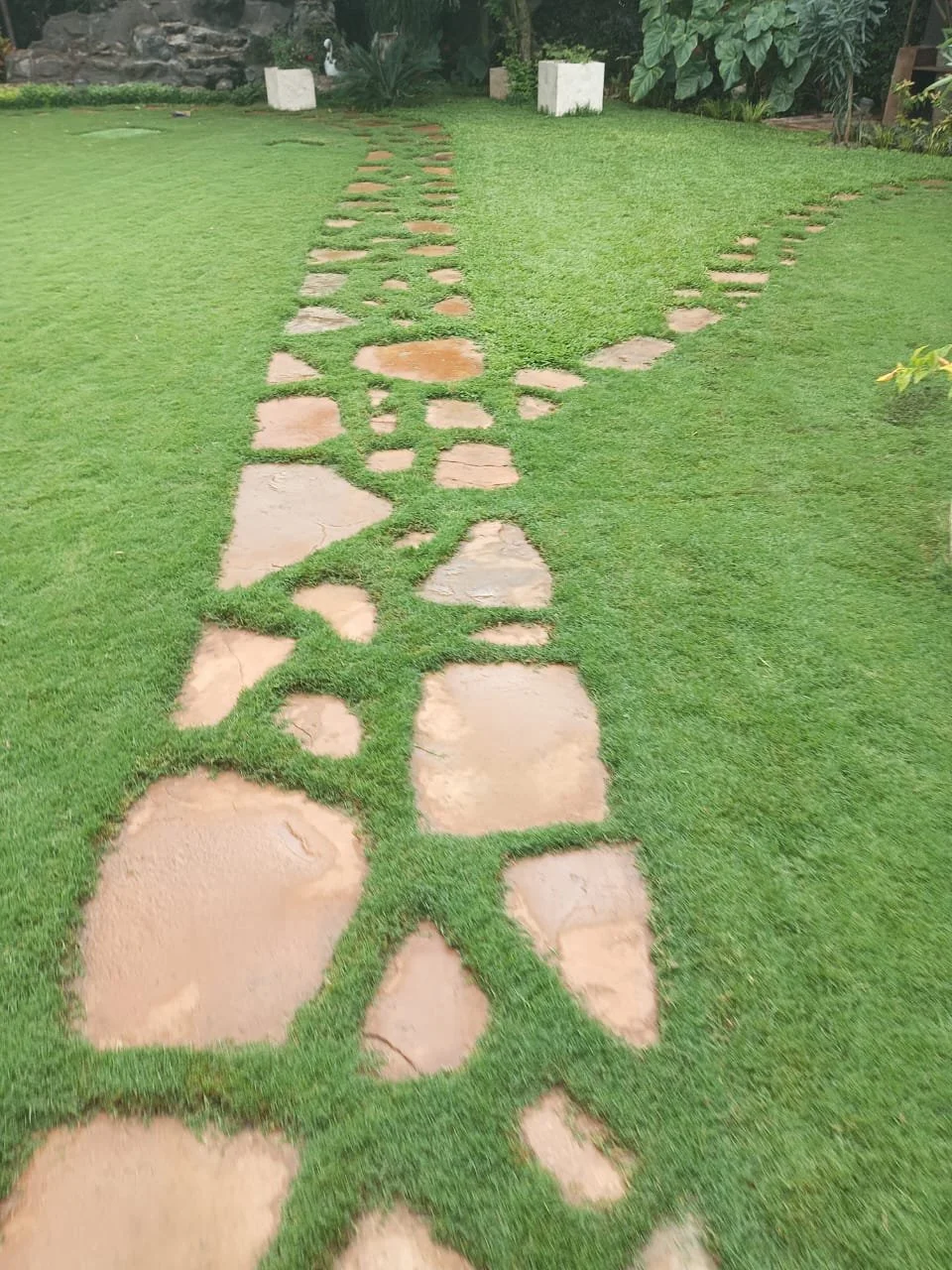 A garden pathway made of irregularly shaped stones embedded in green grass, forming a winding trail.