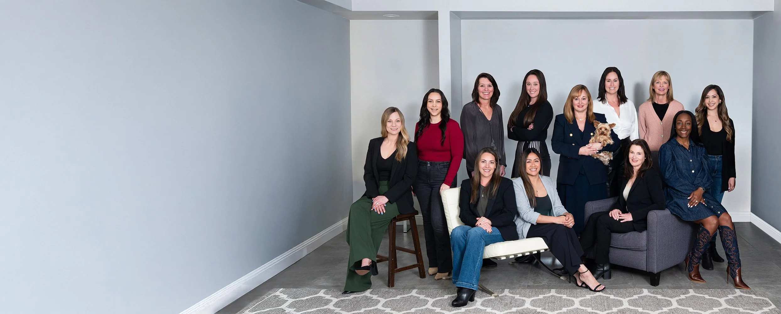 Group of professional women and one dog in a modern living room