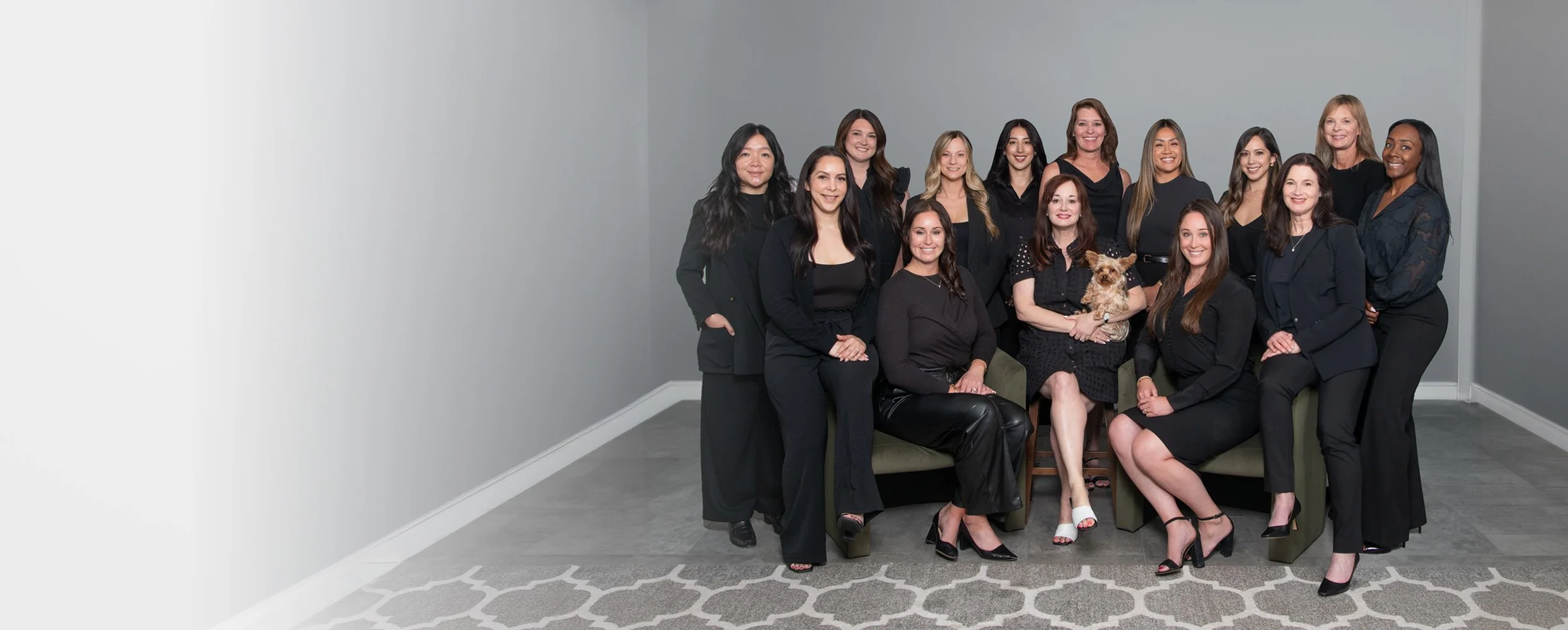 Group of professional women and one dog in a modern living room