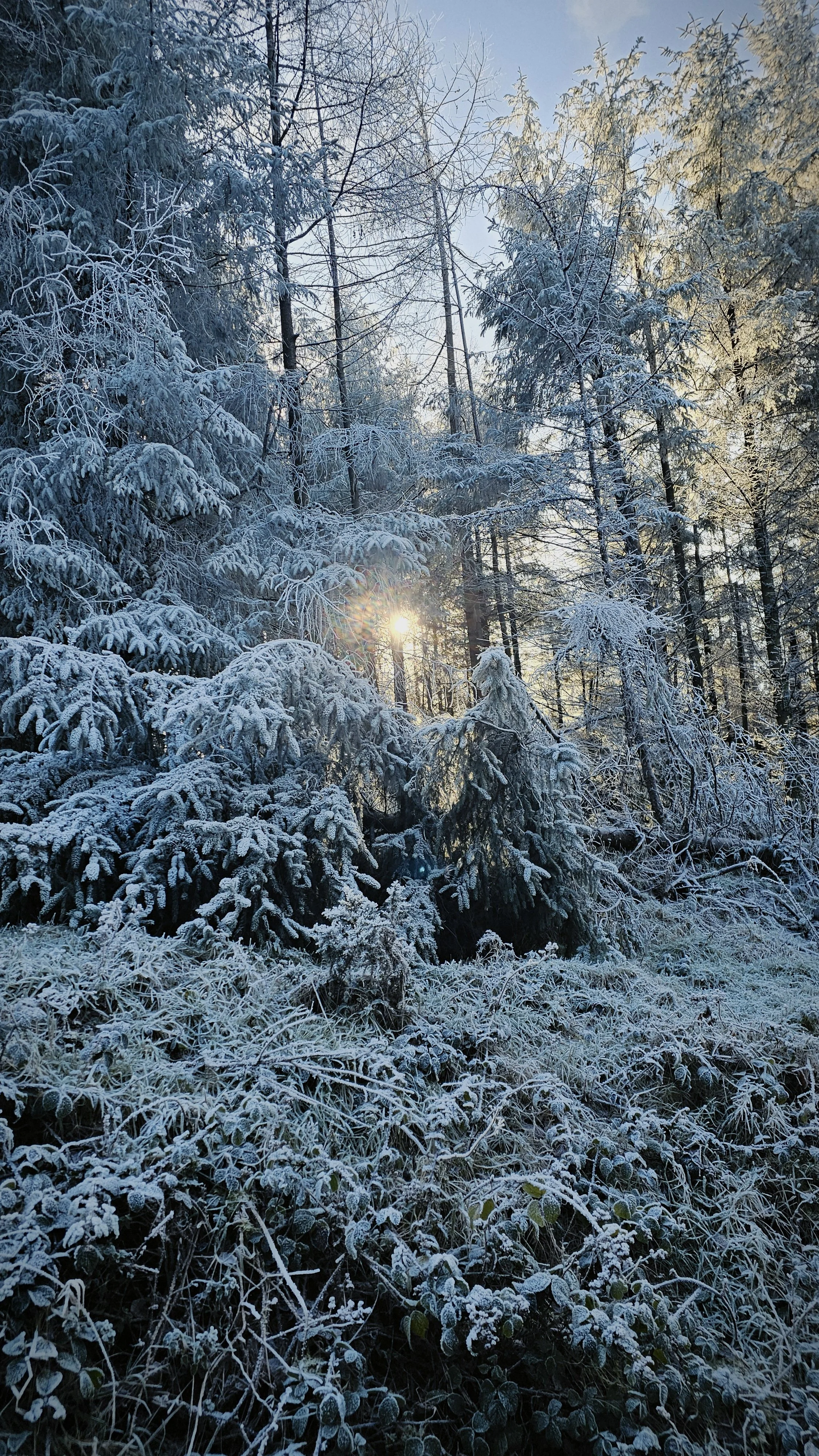 When Life Is Maintenance, Not Magic