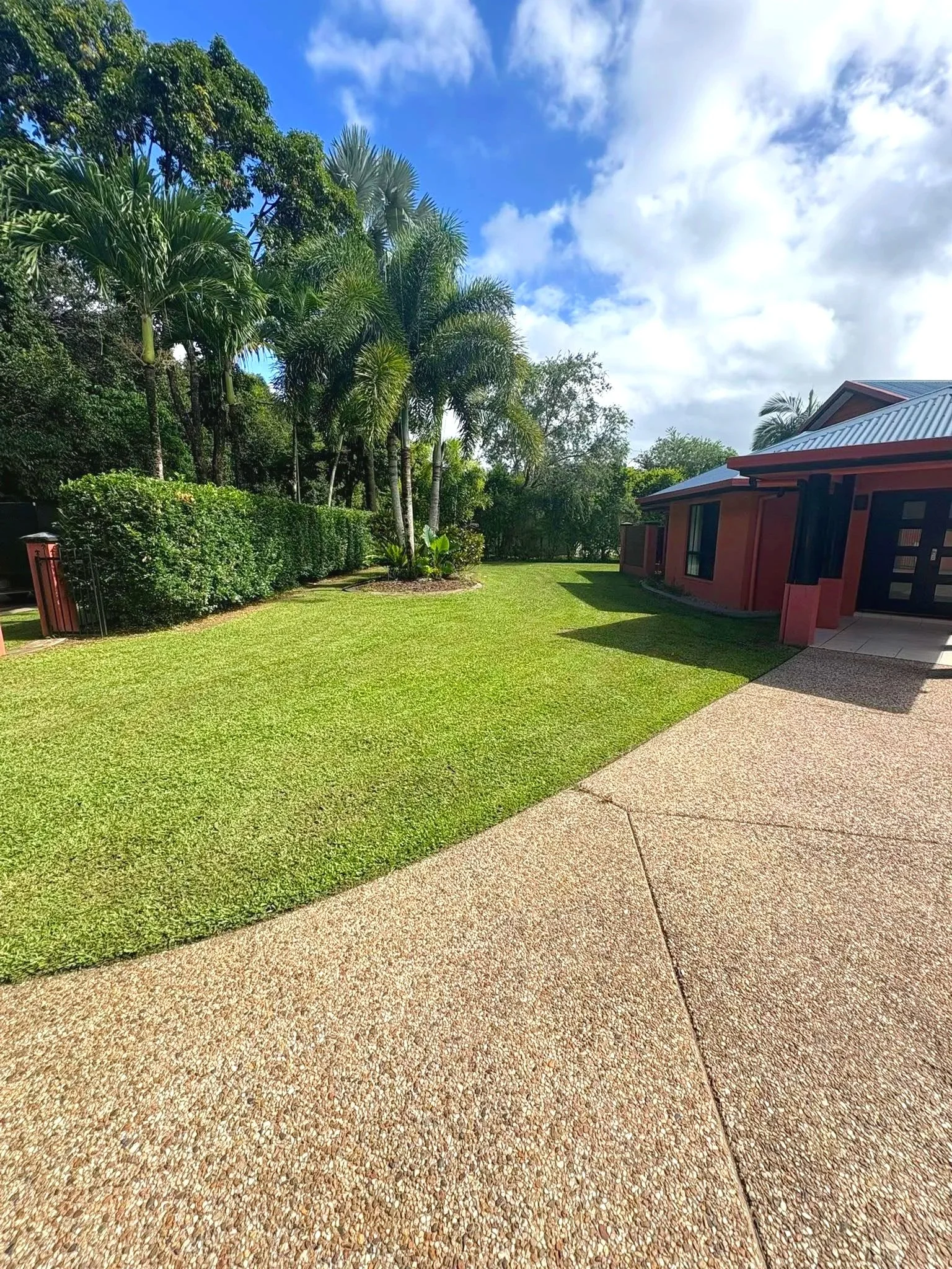 Residential yard with a green lawn, palm trees, a hedge, and a house with a pink exterior and metal roof under a partly cloudy sky.