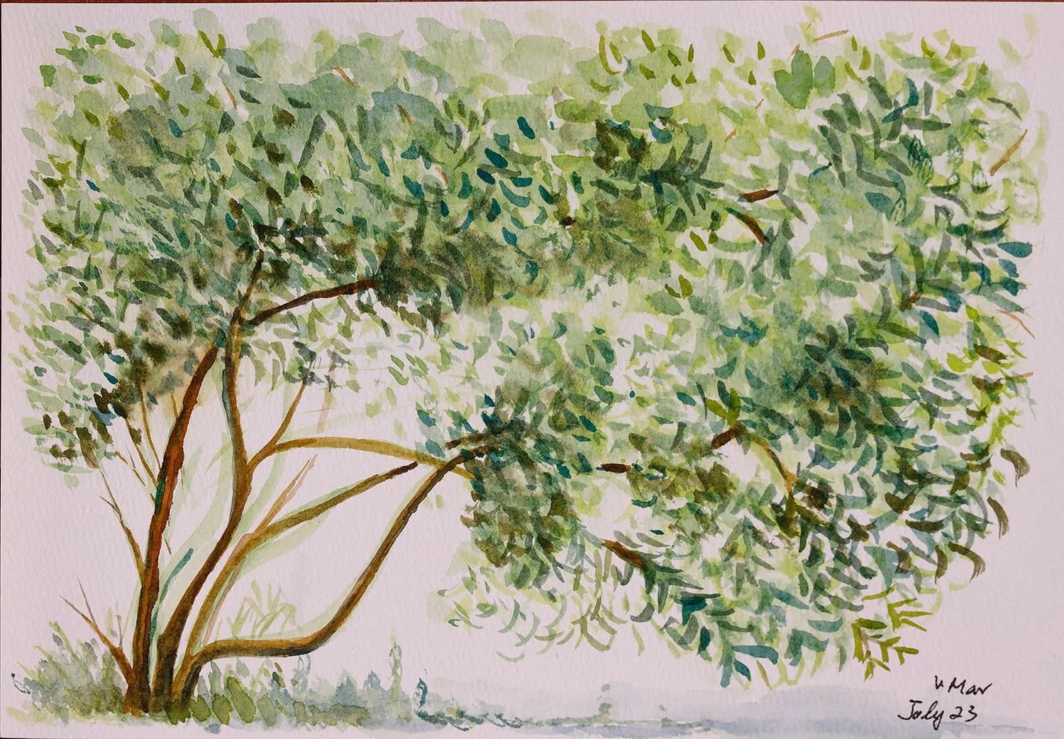 Lush 茂
Watercolour on Paper, 26 x 18cm, 2023