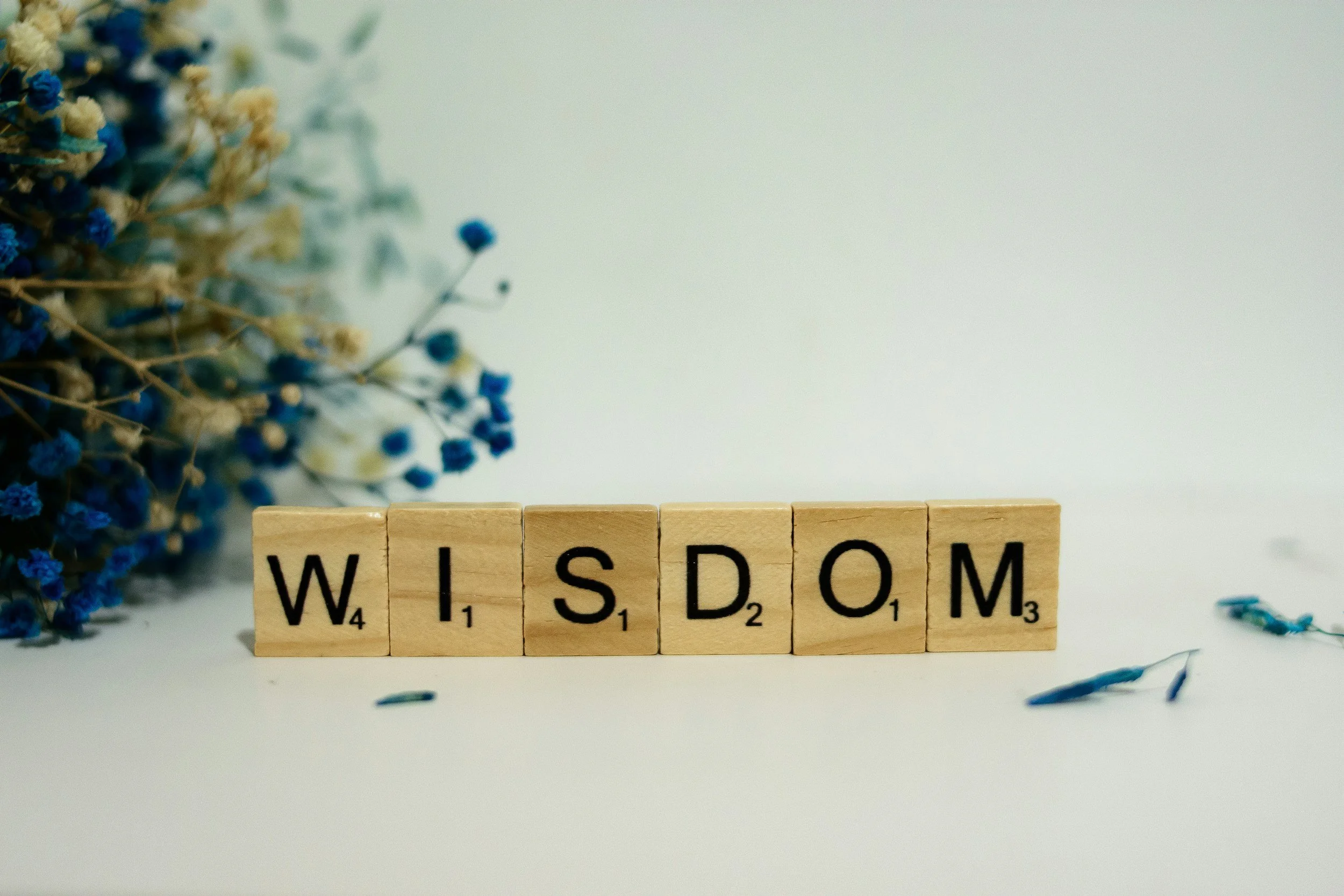 Day 16: Discovering True Wisdom in Jesus