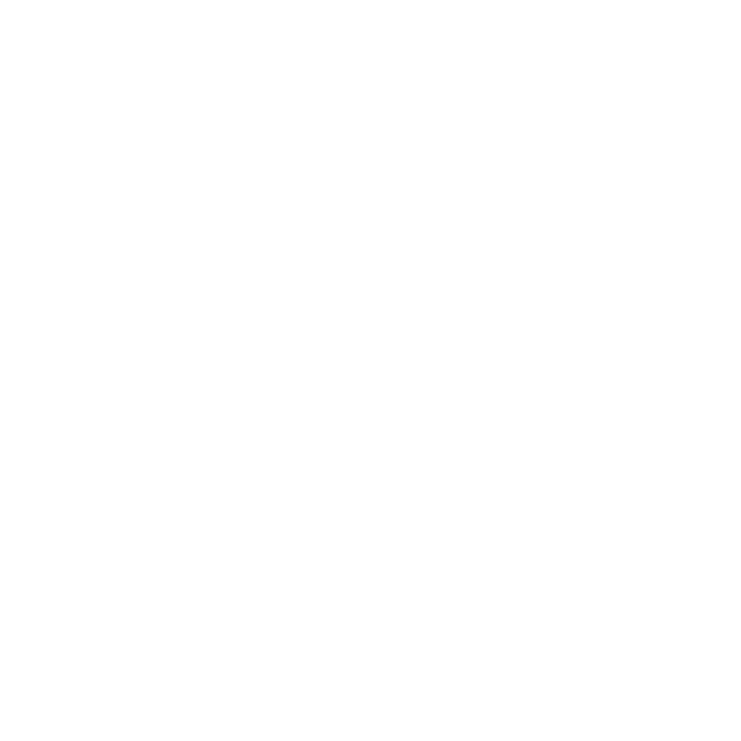 The Guides