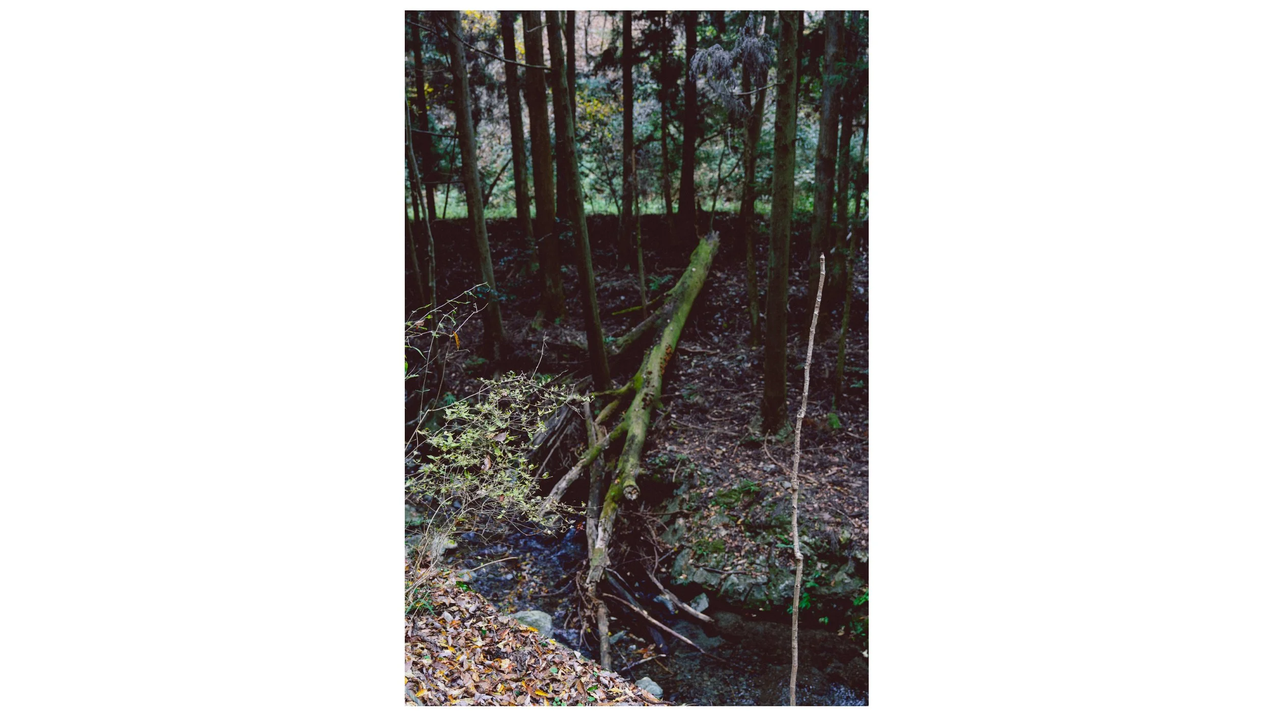 名称未設定 17.jpg