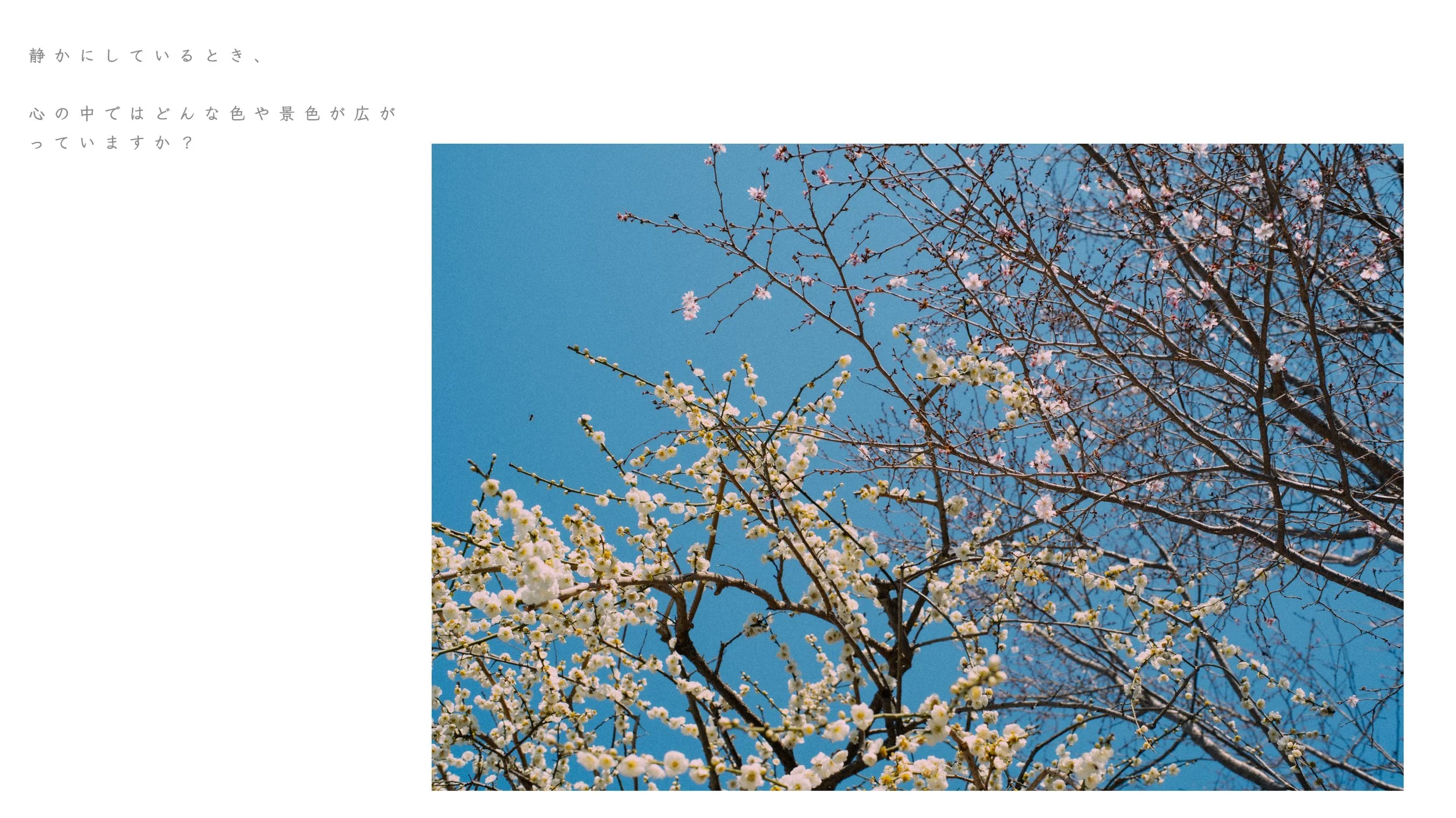 名称未設定 19.jpg