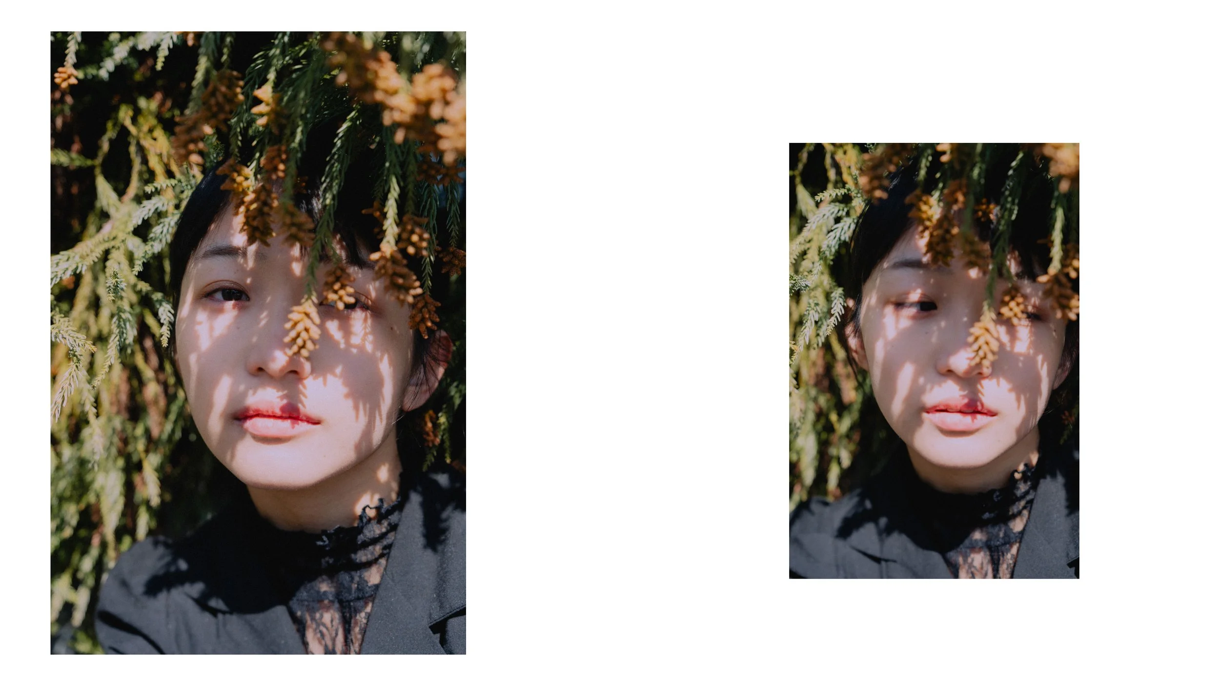 名称未設定 20.jpg