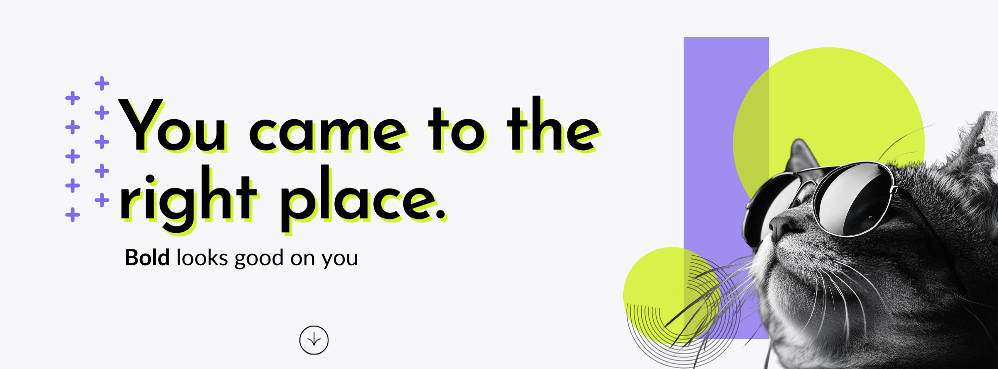 Poptart Creatives hero banner png.png