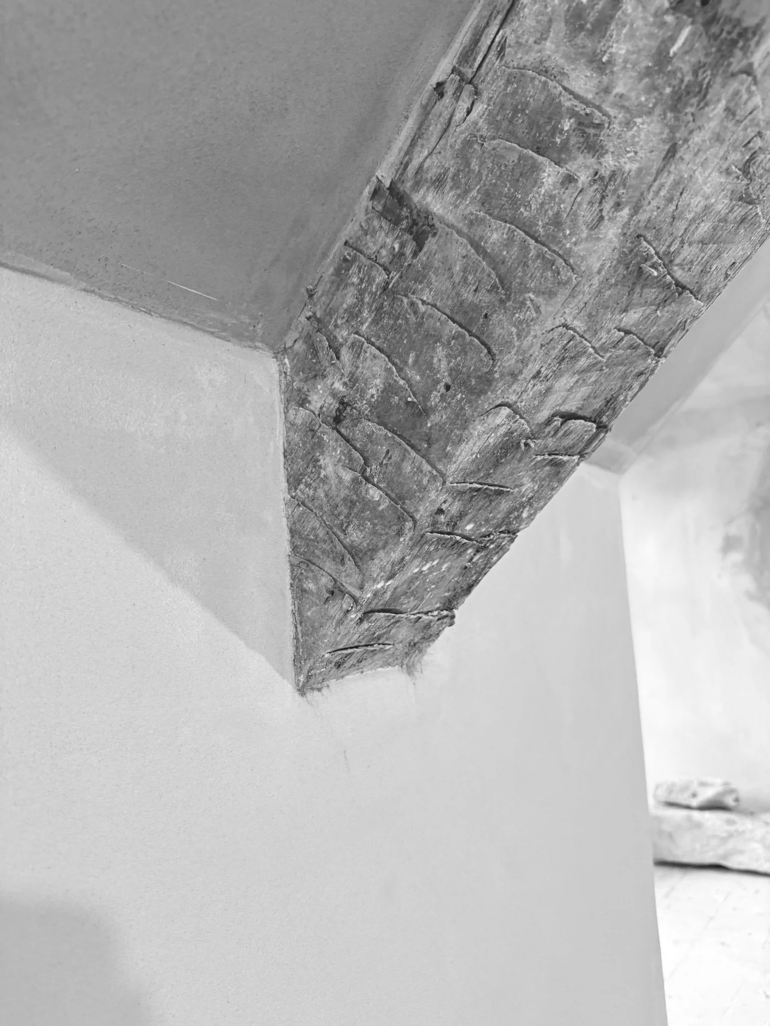 building-and-renovation-for-tunnel-house00075.JPEG
