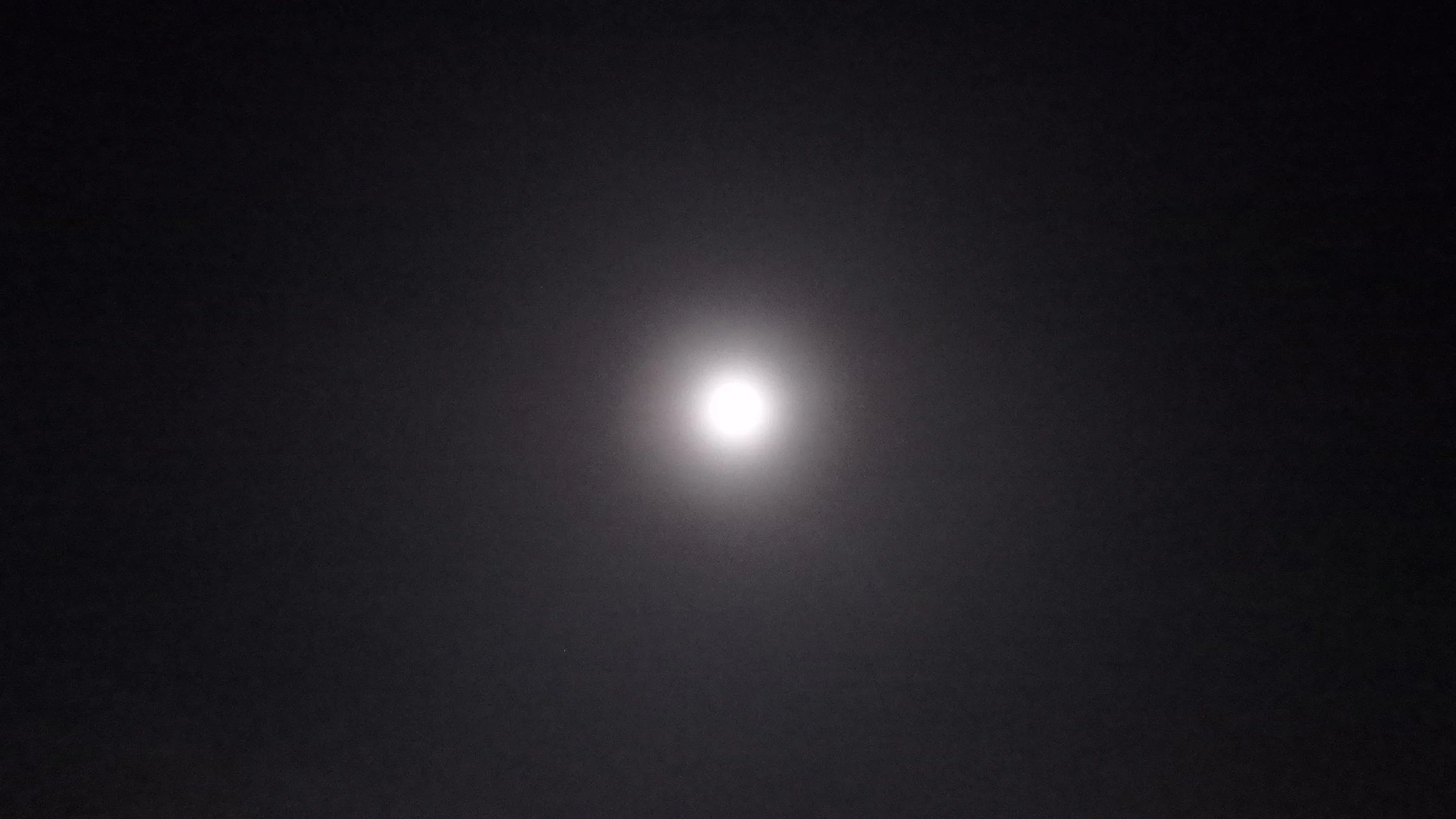 PB160122.JPG