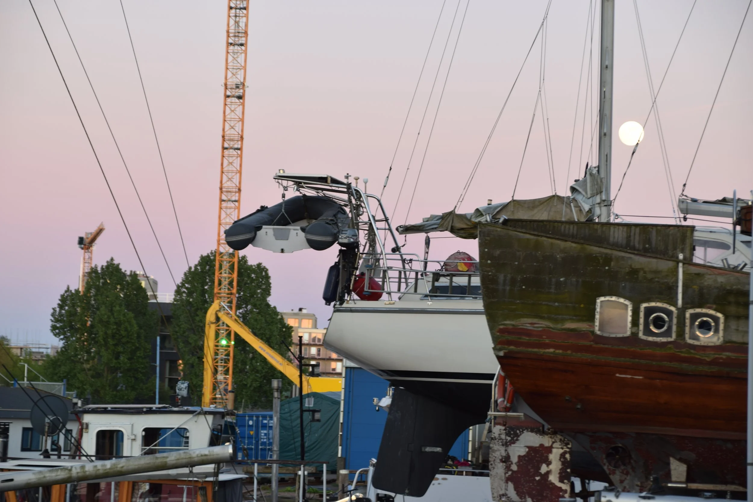 DSC_1821.JPG