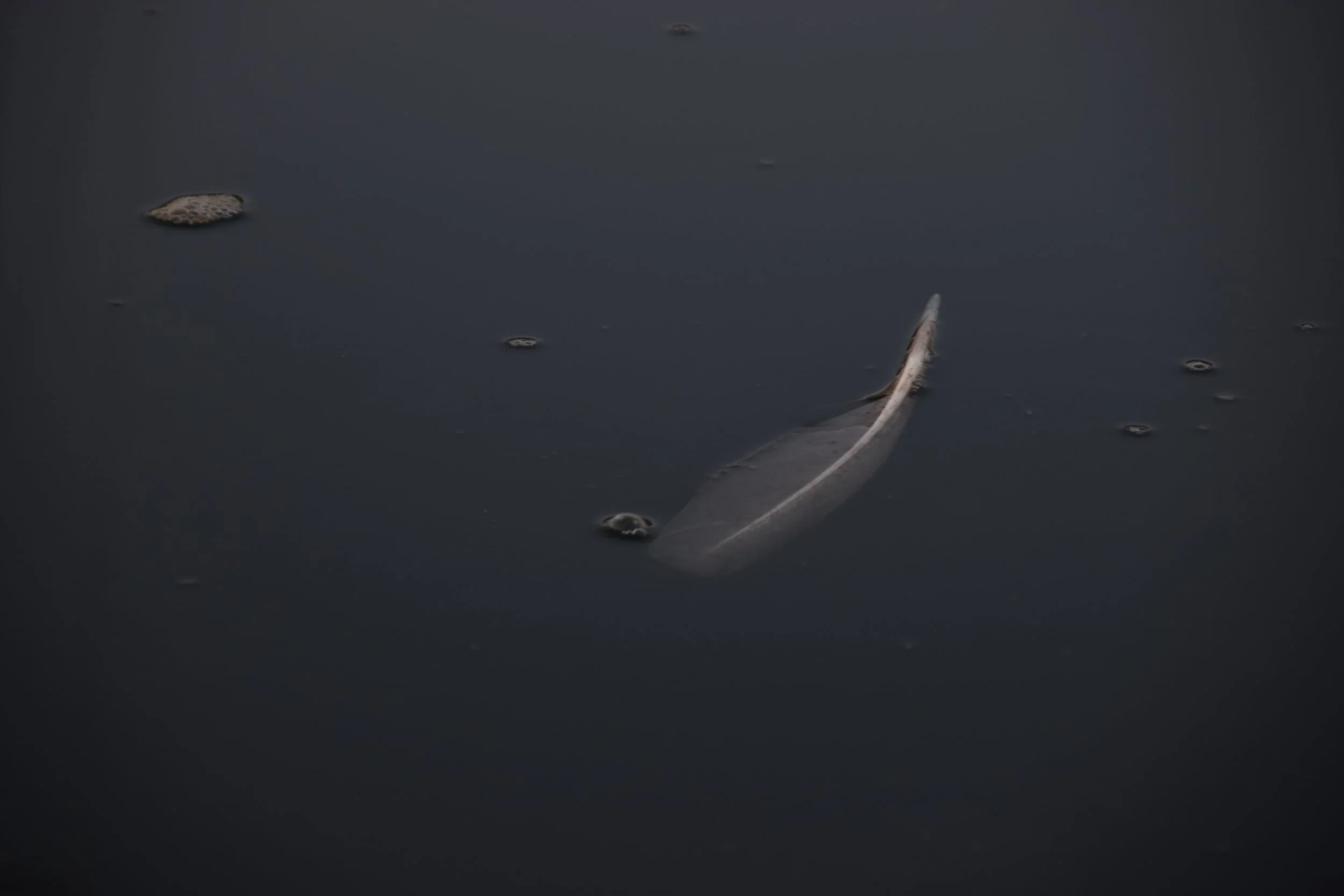 DSC_1610.JPG