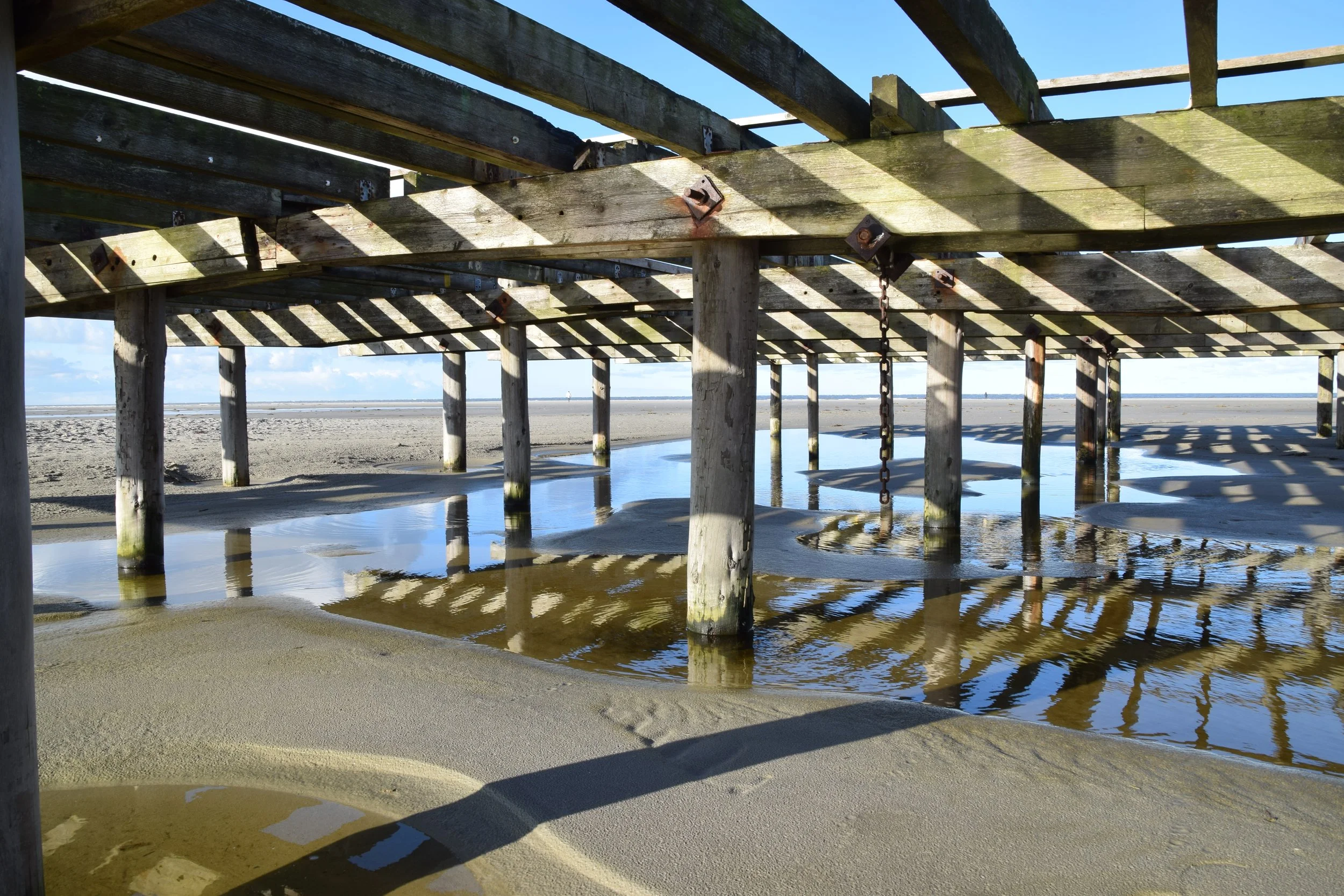 DSC_0828.JPG