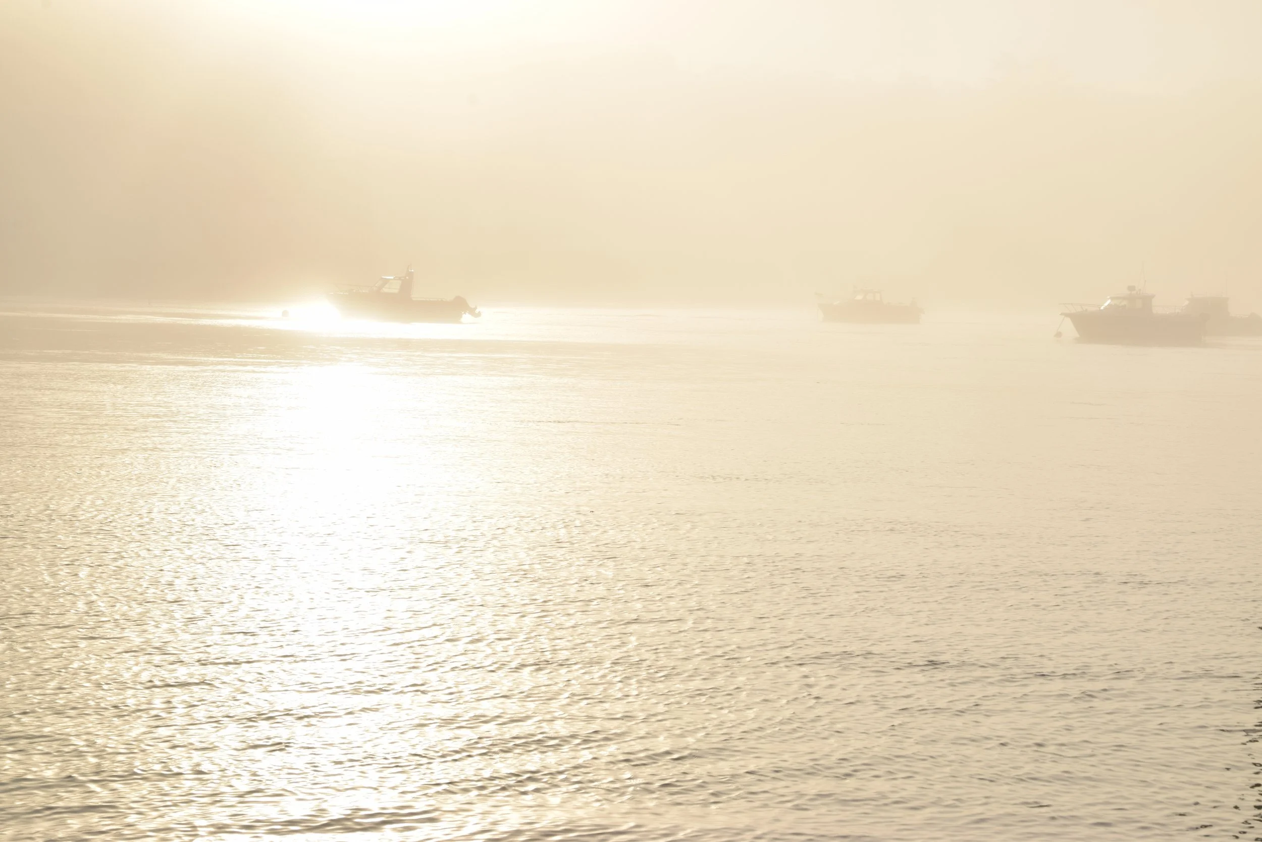 DSC_2142.JPG
