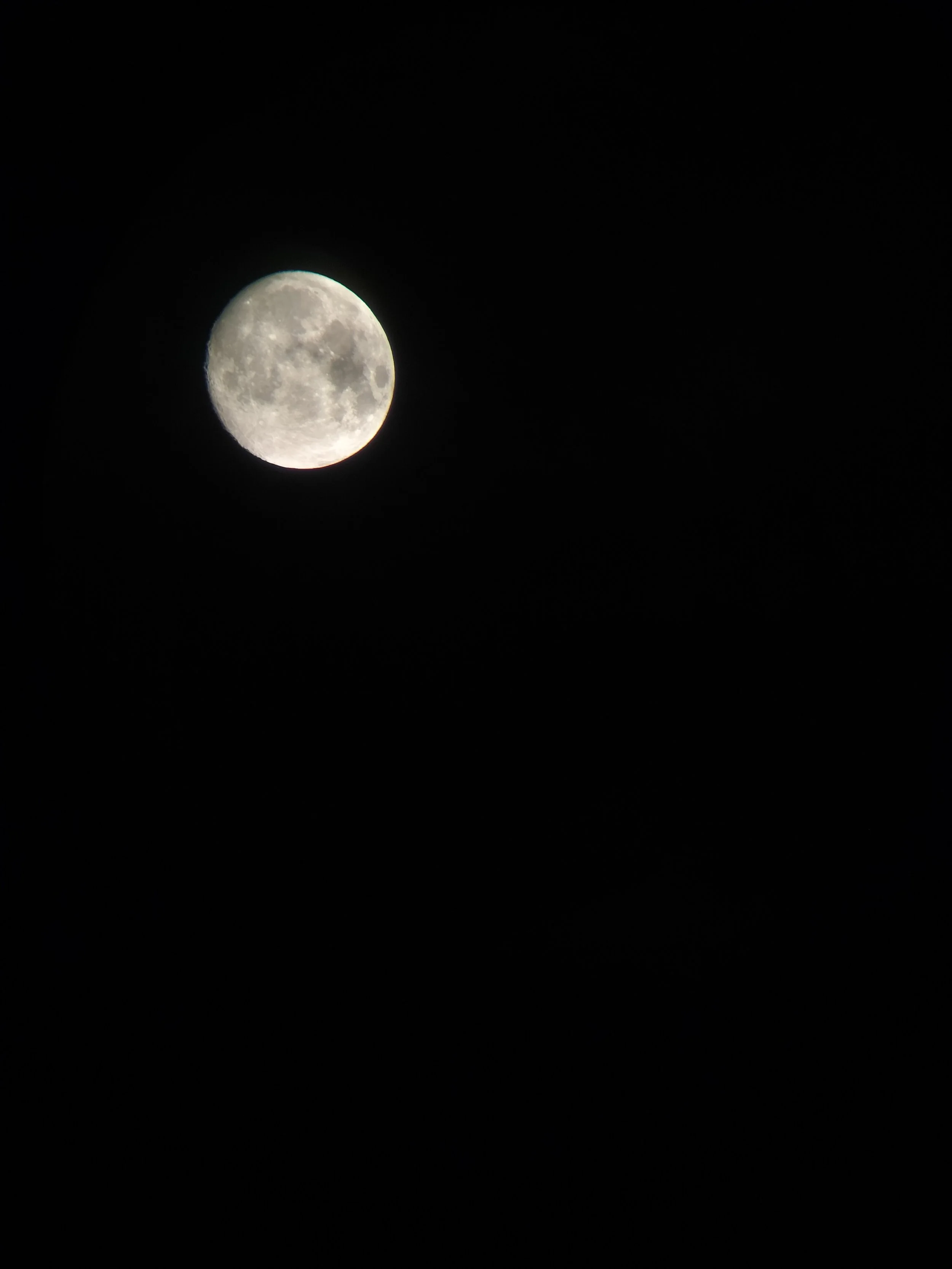 IMG20240323051742.jpg