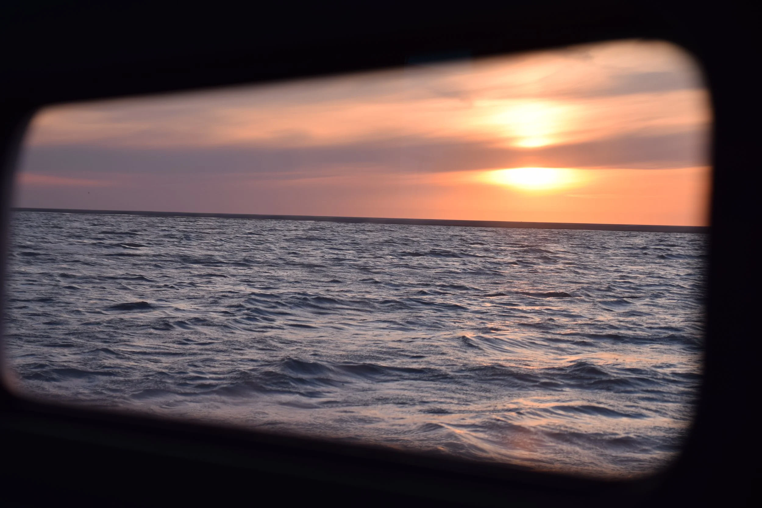 DSC_1908.JPG