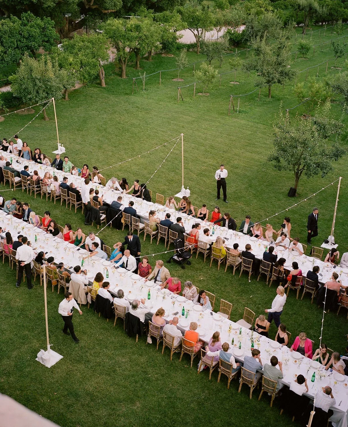 Grande cena all'aperto con molte persone sedute a una lunga tavolata sotto luci appese, su un prato verde circondato da alberi