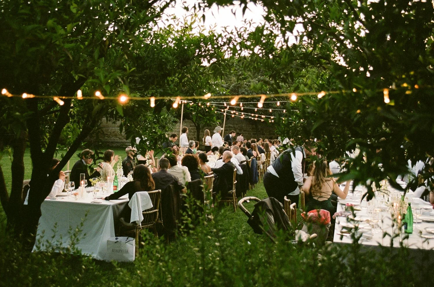 Una festa all'aperto con persone sedute a tavoli decorati, illuminata da luci sospese tra gli alberi, in un giardino o un parco, durante il crepuscolo.