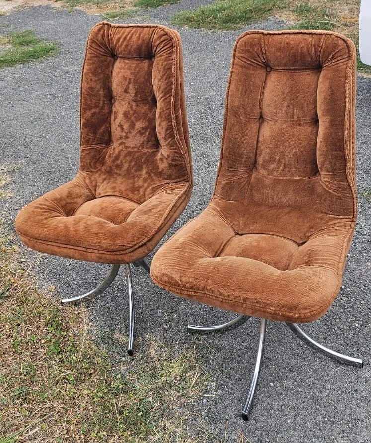 WhatsApp Image 2026-01-26 at 19.06.46.jpeg