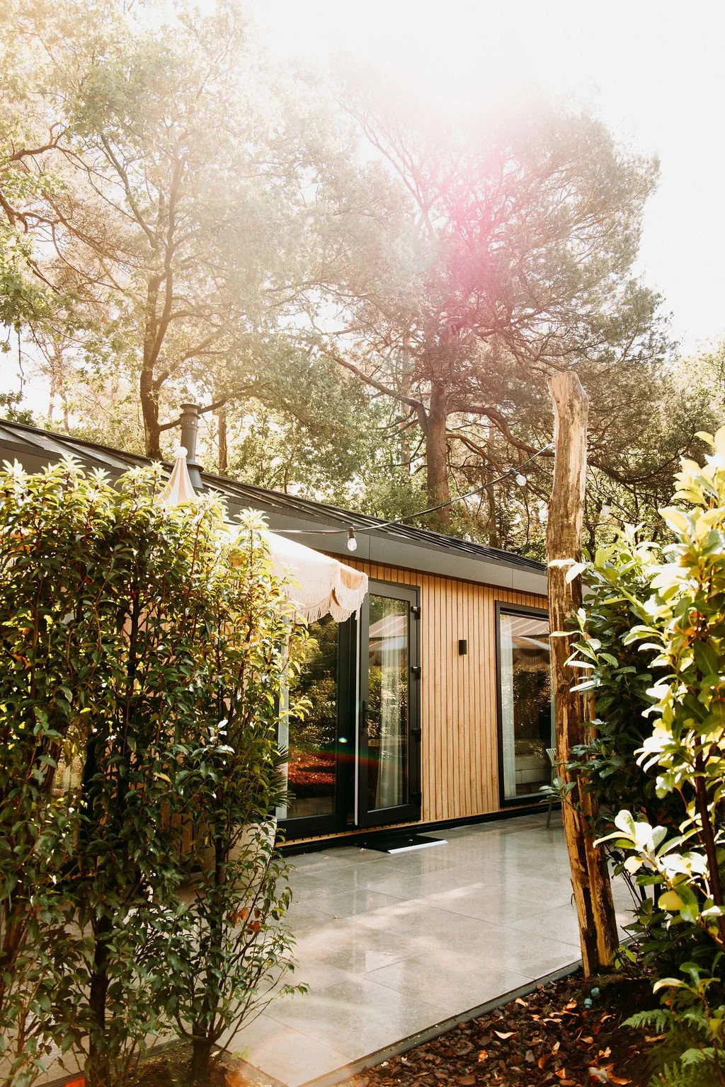 Moderne houten woning met grote glazen deuren, omringd door groene tuin en hoge bomen, met zonlicht