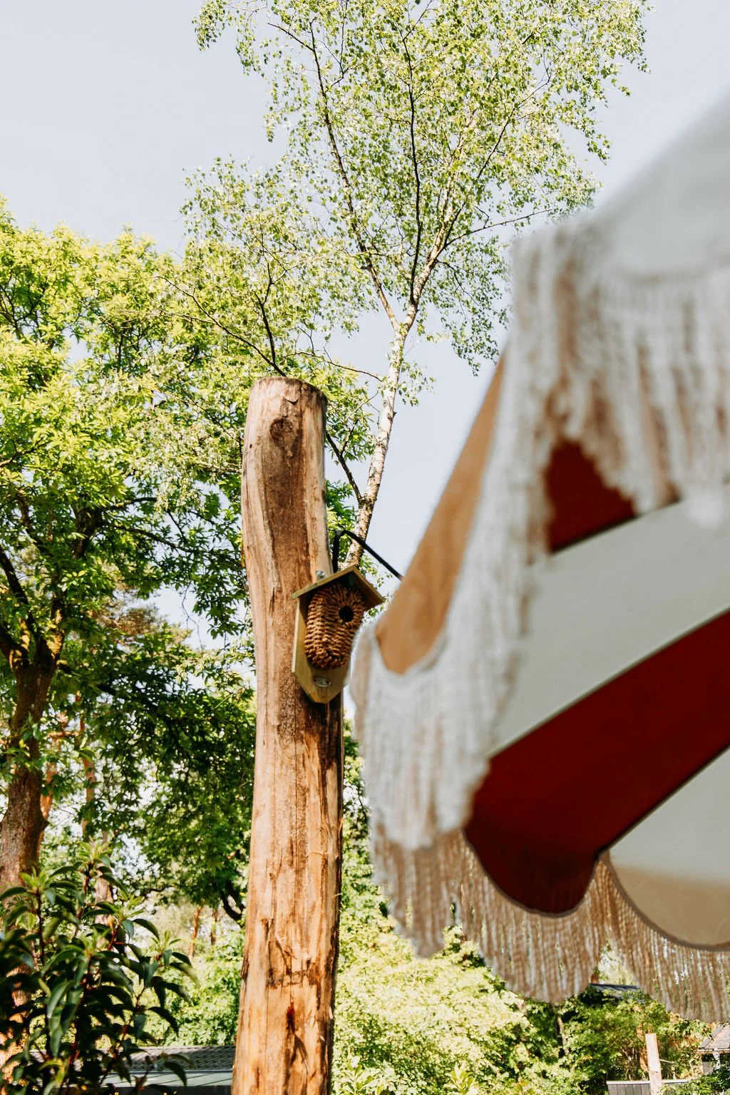 Een vogelhuisje bevestigd aan een boomstam, omgeven door groene bladeren en bomen. In de voorgrond een deel van een parasol van Karwei.