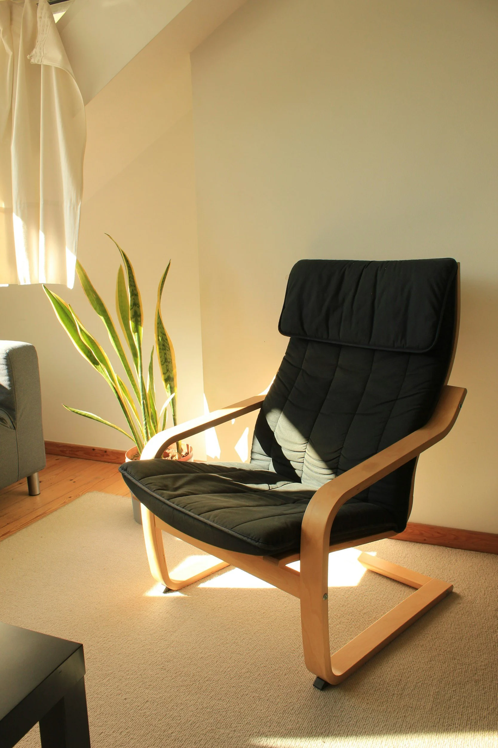 A black cushioned lounge chair with wooden armrests and frame, placed on a beige carpet near a window with sunlight streaming in, and a tall green houseplant next to it.