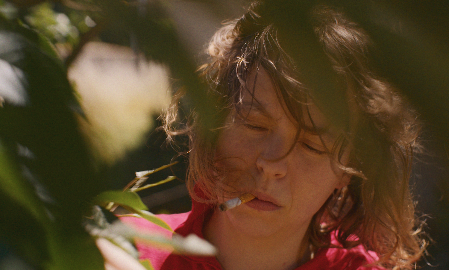 La belle année_c Simon Averin_1.png