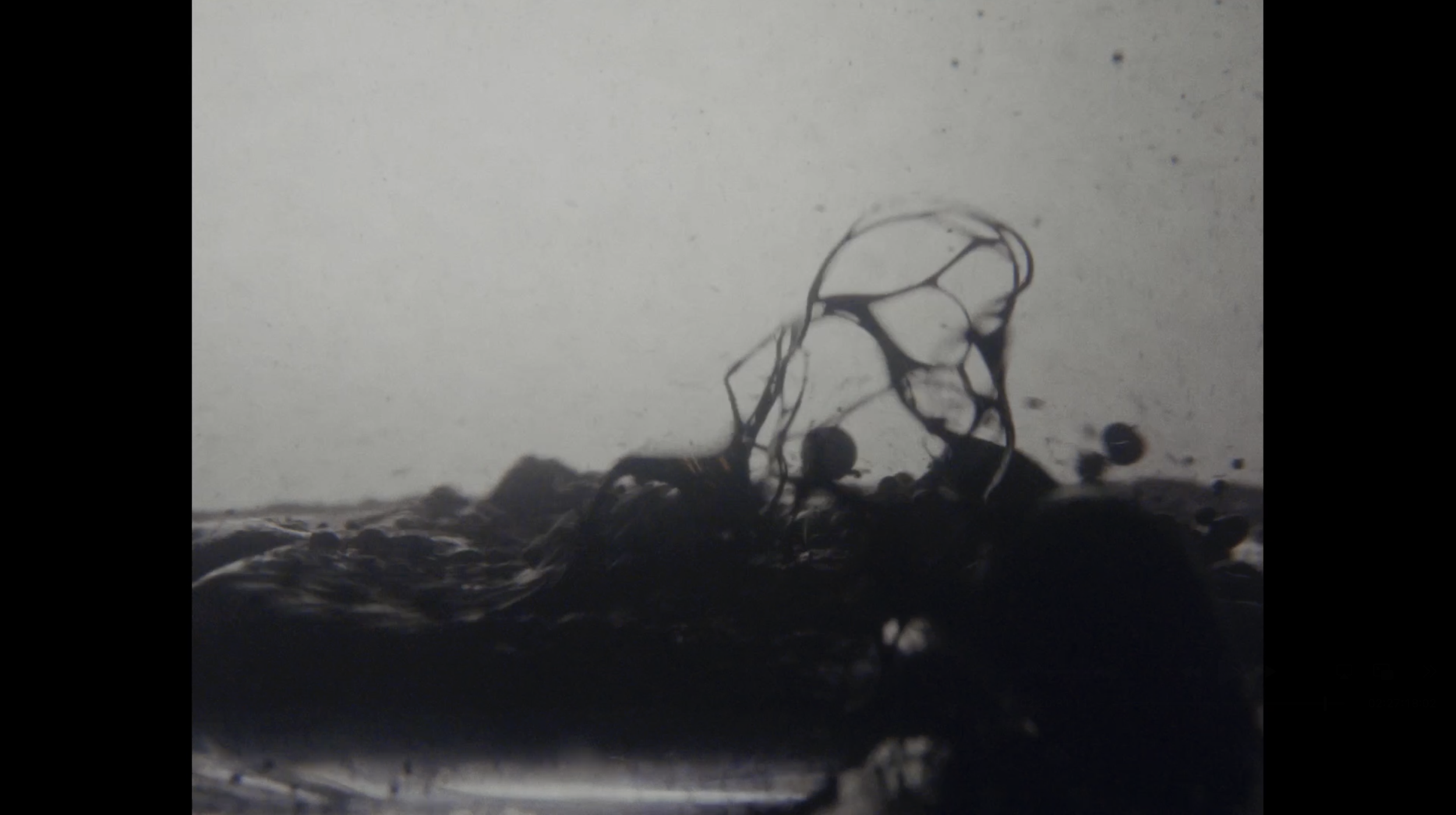 Still5-InDefenseOfSelf-Credit_Morild Film.png