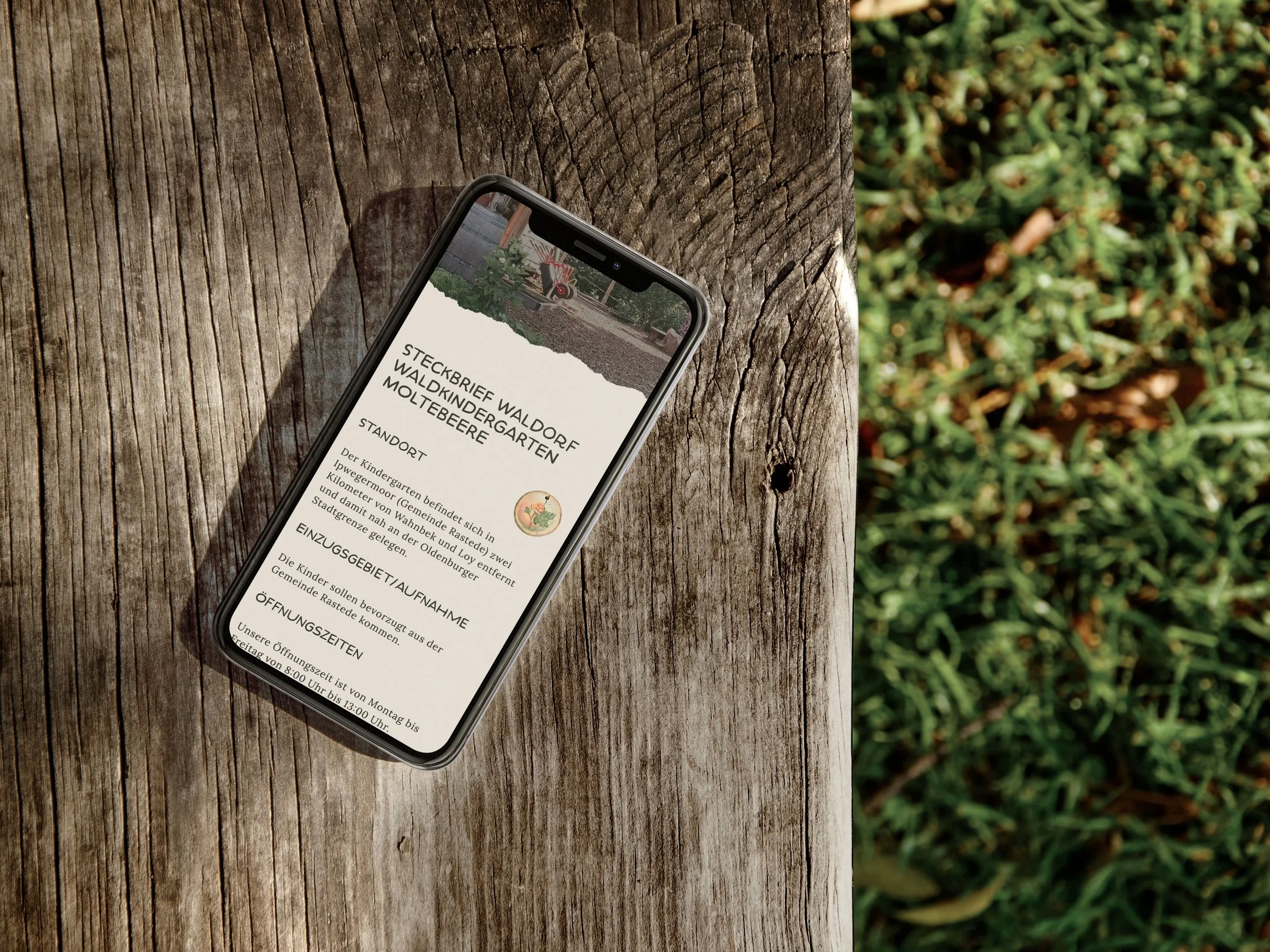 Waldkindergarten Moltebeere – Neue Website mit Superidee Werbeagentur Oldenburg