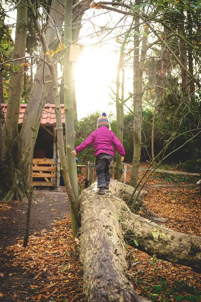Waldkindergarten Moltebeere – Fotoreportage von Superidee Werbeagentur Oldenburg