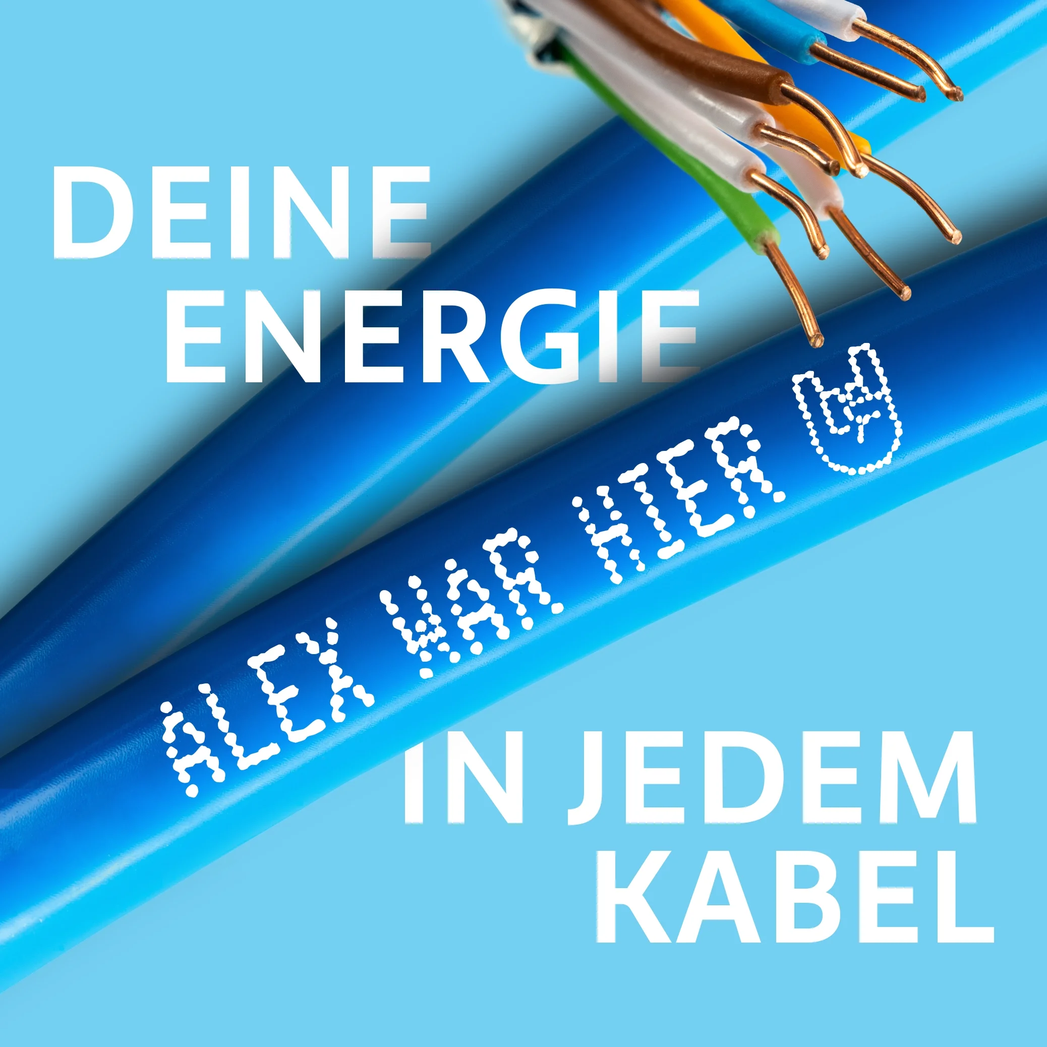 BIZLINK – Superidee Werbeagentur Oldenburg