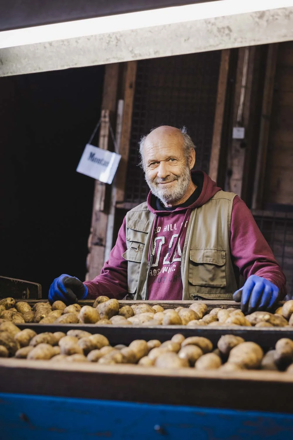 Ein älterer Mann in einem braunen Jacke, roten Pullover und blauen Handschuhen steht hinter einem Tisch voller Kartoffeln in einem ländlichen Lager oder Markt.